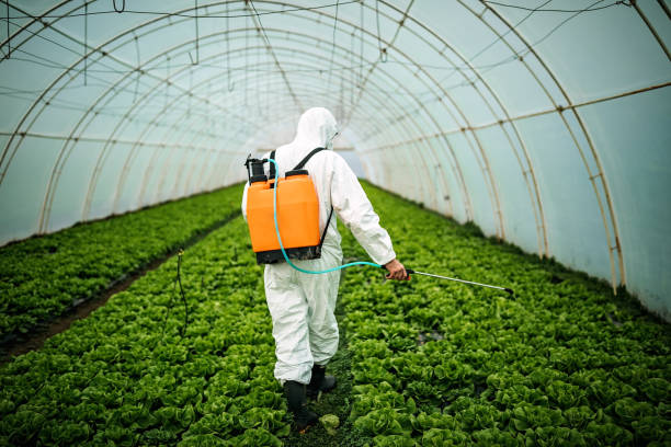Best Pest Prevention Services  in Birmingham, AL