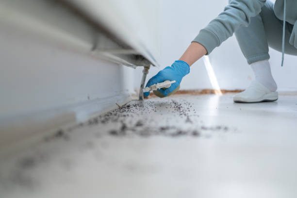 Best Pest Prevention Services  in Birmingham, AL