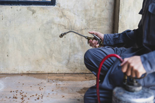 Best Rat Extermination Near Me  in Birmingham, AL
