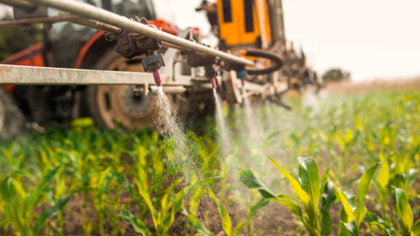 Best Commercial Pest Control Services  in Birmingham, AL